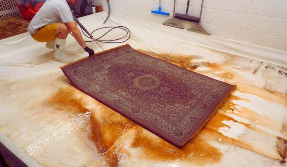 Area Rug Cleaning Videos Fake?