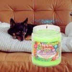 Best Candles for Pet Odor to Eliminate Smells Fast