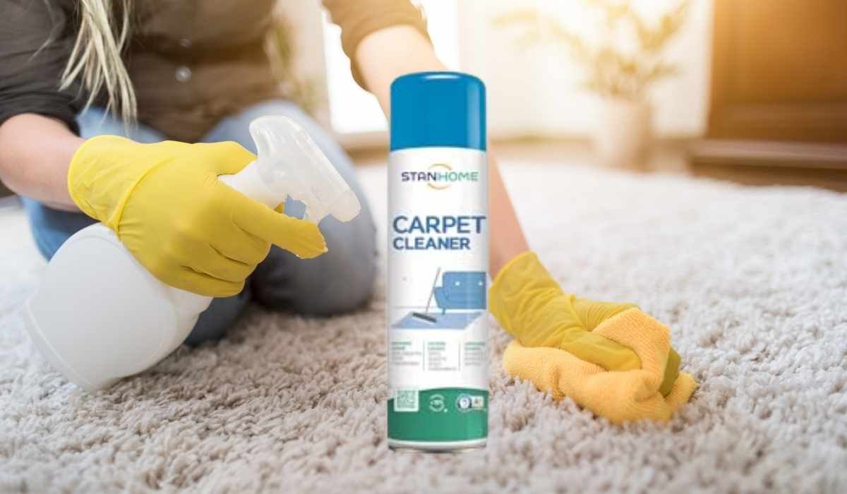 Best Carpet Cleaner on a Budget: Top Affordable Picks