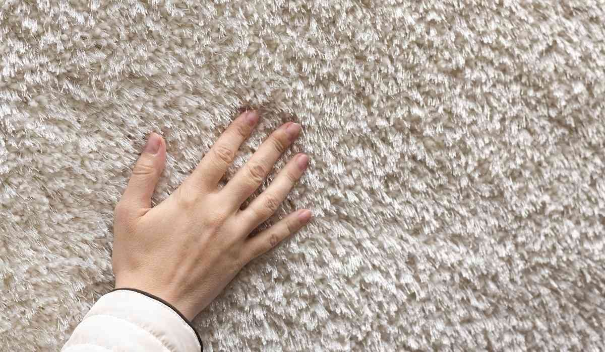 Can You Carpet Clean Wool Rugs? Tips for Safe Cleaning