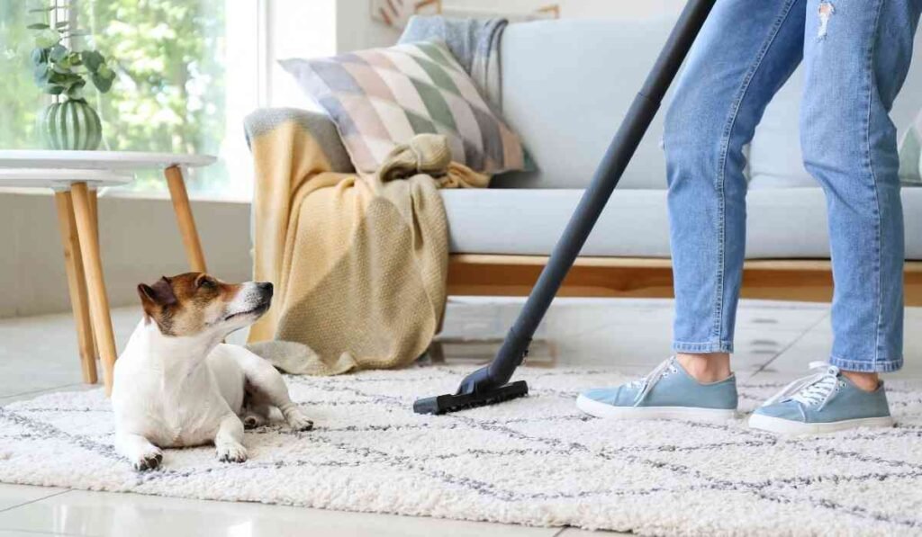Carpet Cleaning Basics