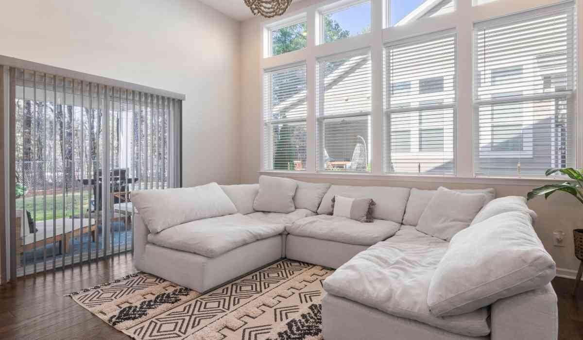 Clean Carpet And Sofa: Tips for a Spotless Home