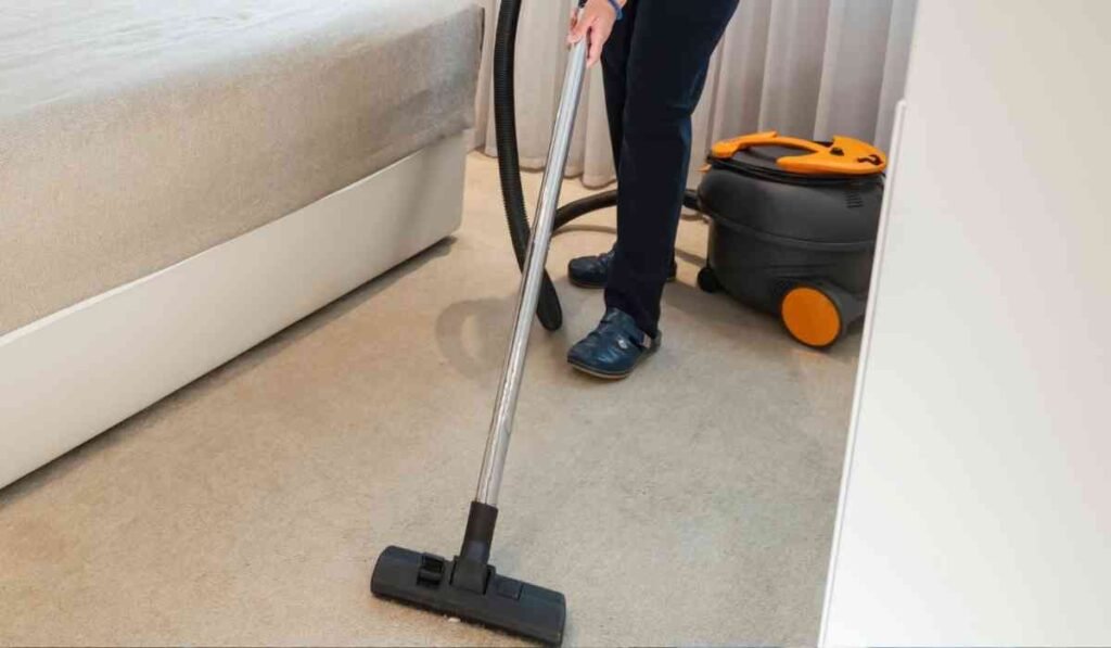 Vacuuming And Bed Bug Spread