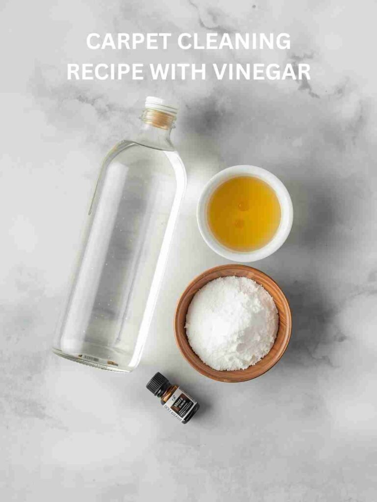 carpet cleaning recipe with vinegar