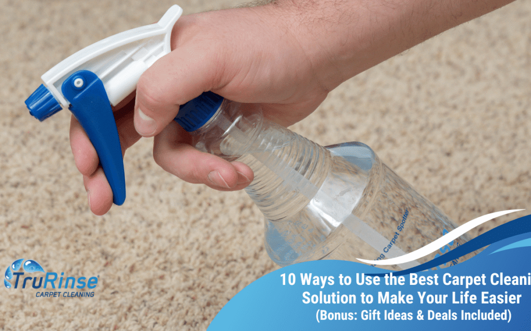 What is the Best Way to Have Your Carpet Cleaned 