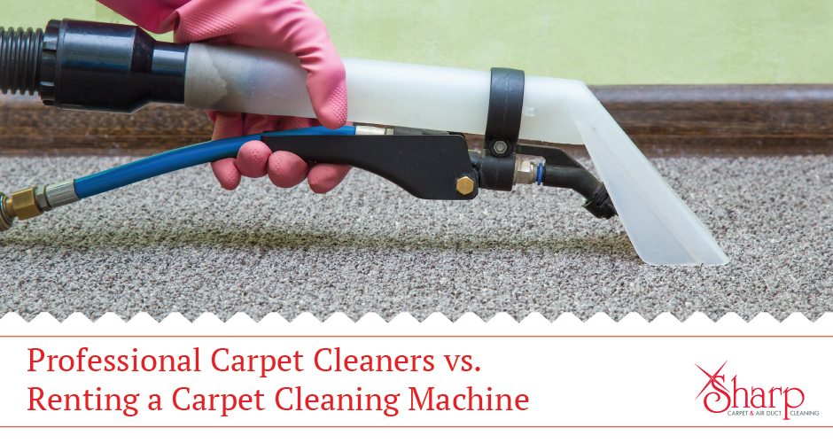 Should I Rent a Carpet Cleaner Or Hire a Professional 