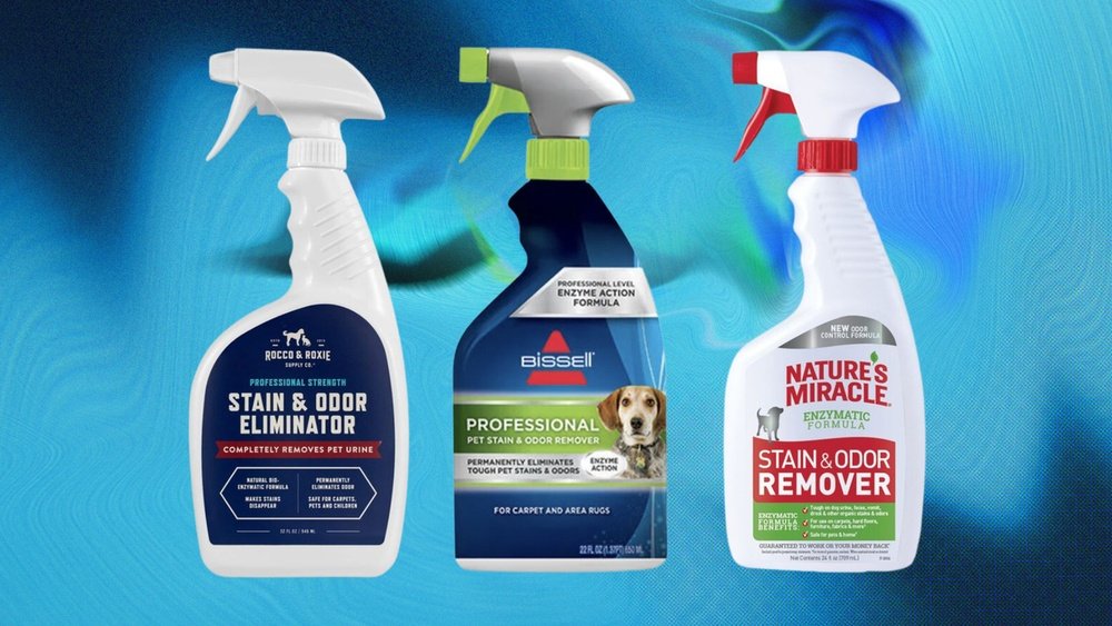What is the Best Pet Odor Remover for Carpet